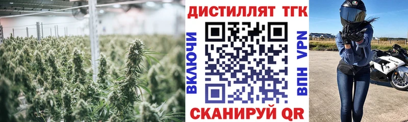 даркнет состав  Верхняя Пышма  Дистиллят ТГК Wax  магазин  наркотиков 